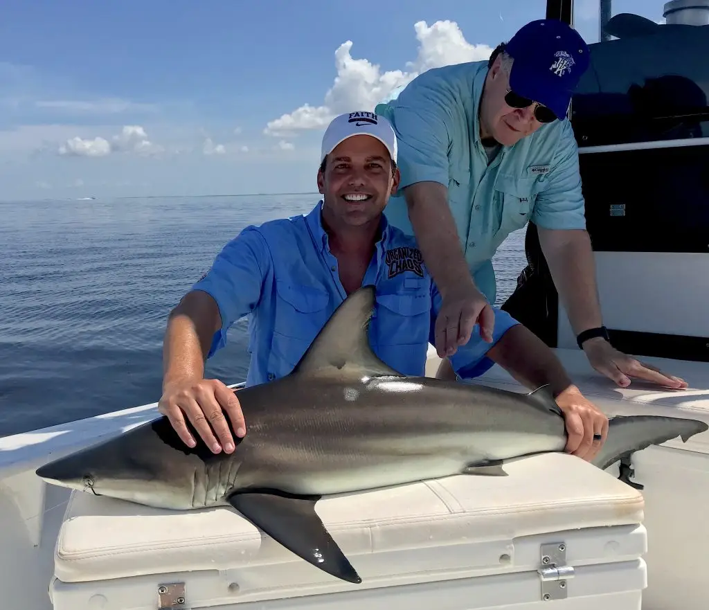 Blacktip Shark, Catch & Release, Sanibel Island Fishing Charters & Captiva Island Fishing Charters, Sanibel Island, Tuesday, July 3, 2018.