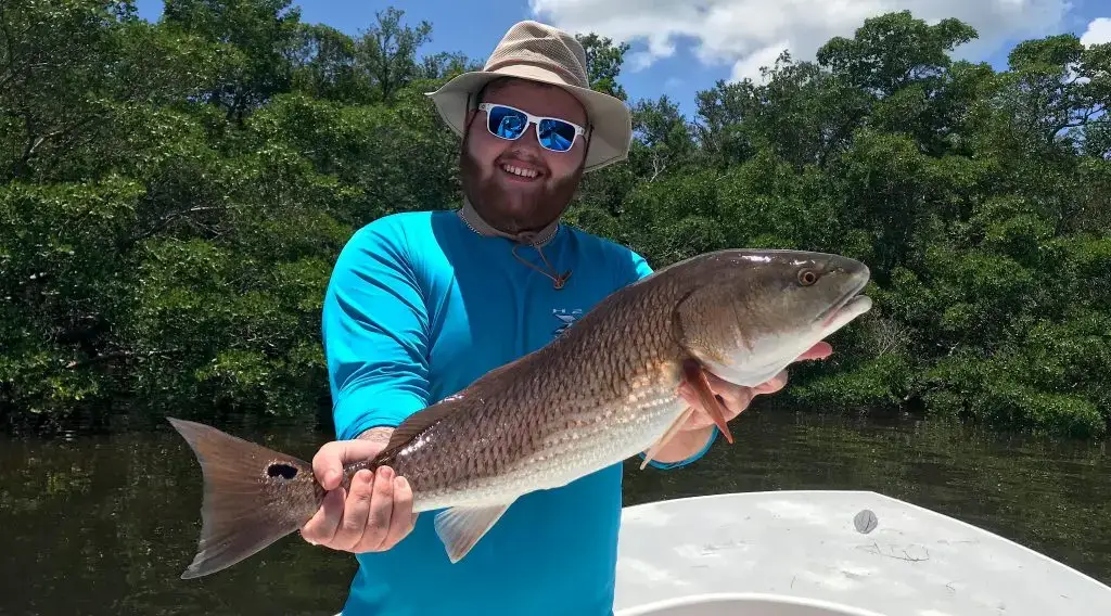 Redfish, Catch & Release, Sanibel Island Fishing Charters & Captiva Island Fishing Charters, Sanibel Island, Monday, July 2, 2018.