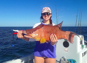 Captiva Fishing, Hogfish, November 25, 2016