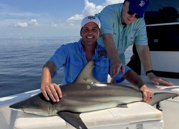 Captiva Fishing, Blacktip Sharks, July 3!