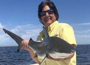 Captiva Fishing, Blacktip Shark, July 6!
