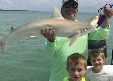 Captiva Fishing, Blacknose Shark, July 7!