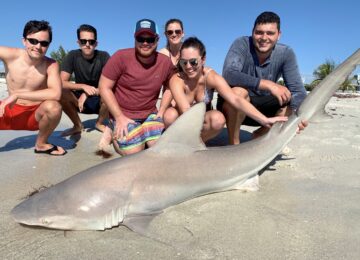 Sandbar Shark, Sanibel Island Fishing, Catch & Release, Captiva Island, Tuesday, February 26, 2019.